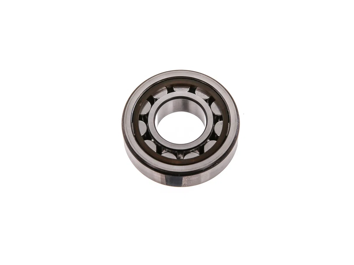 SKF NJ 204 ECP/C3 Rodamiento de rodillos radiales cilíndricos